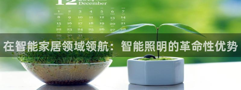 云顶国际酒店老板是谁