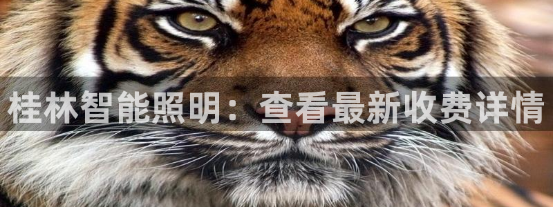 云顶国际网站