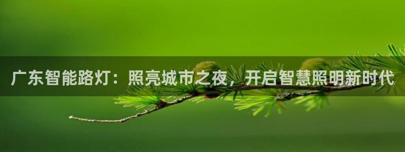 云顶集团3118acm