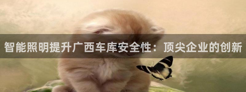 云顶国际app是什么