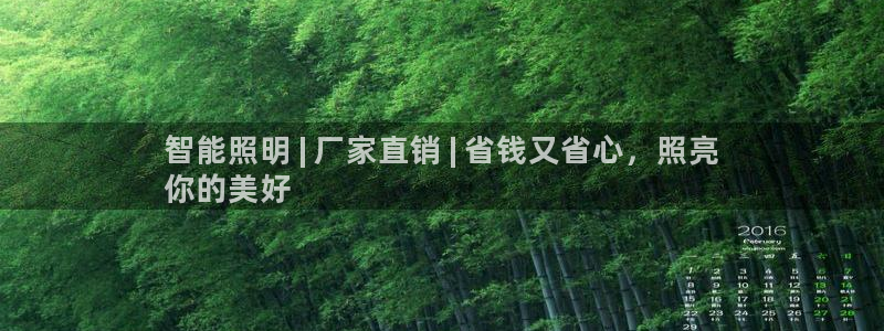 2322云顶