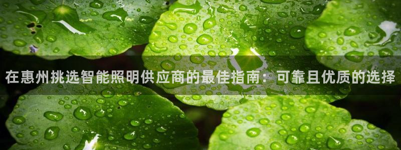 云顶集团游戏app网页版
