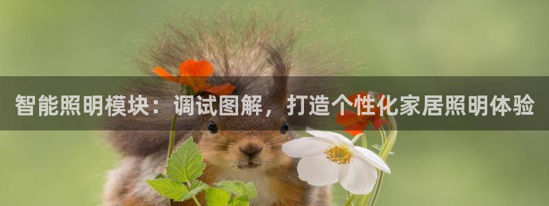云顶国际不出款怎么办