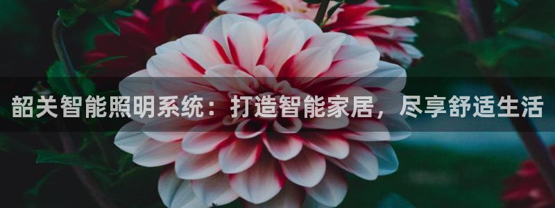 云顶国际什么时候能提现