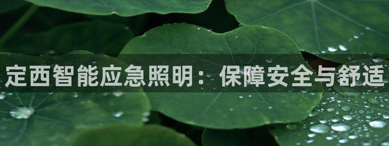 云顶集团官网电话客服