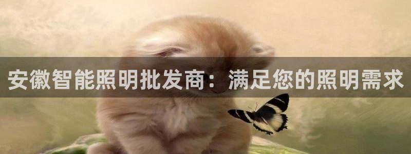 怎么下载云顶国际服