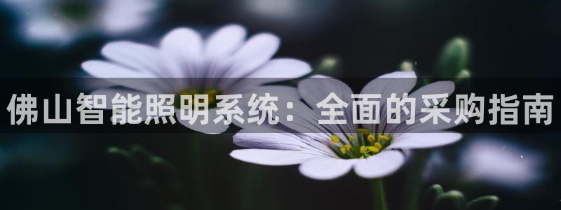 云顶国际俱乐部多少钱一个小时