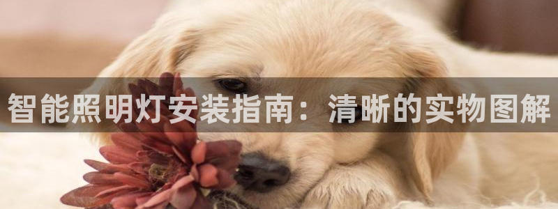 云顶集团官网电话是多少
