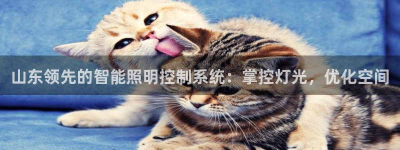 云顶集团app免费下载苹果