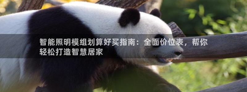云顶mg网址