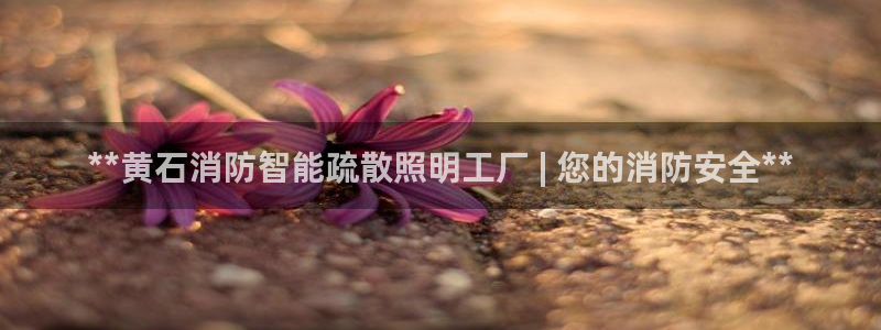 云顶国际pg网站官网