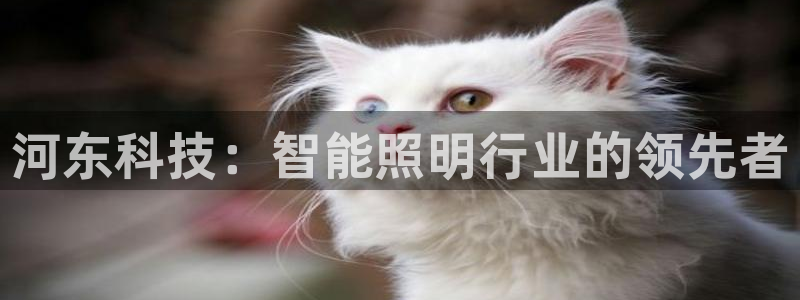 云顶集团有限公司官网