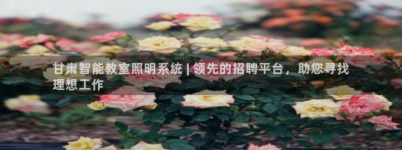 云顶国际投资有限公司