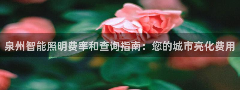 云顶集团网投领