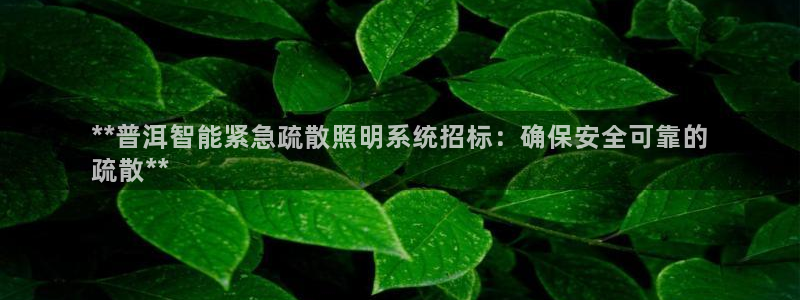 云顶国际服怎么登陆
