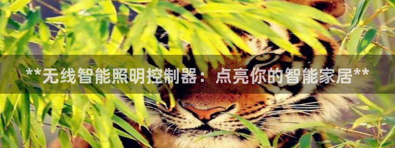 云顶国际旅行社怎么样