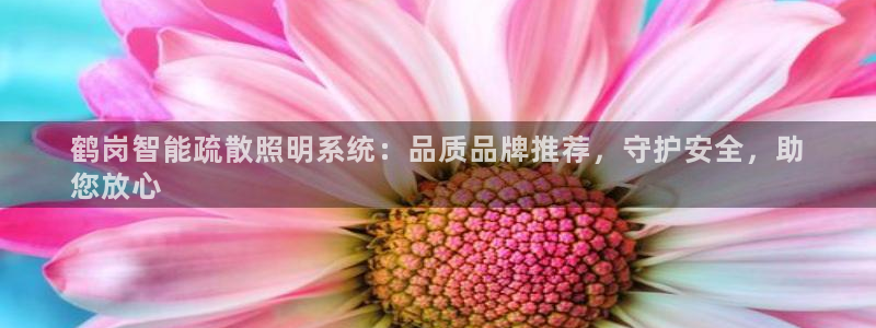 云顶集团网站安全吗知乎
