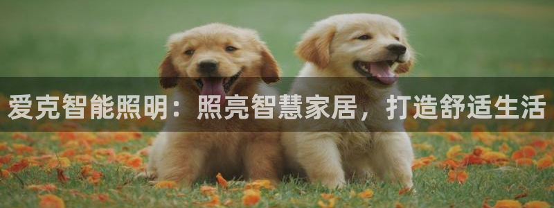 云顶国际足球app下载安卓