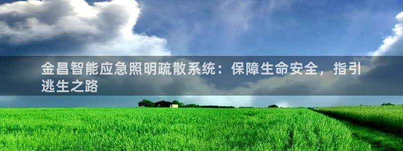 云顶国际软件