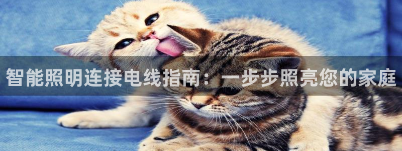 云顶国际服怎么更新