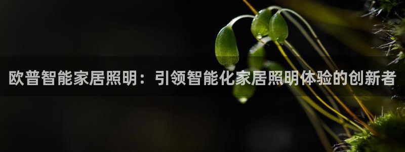 云顶集团董事长林东简历