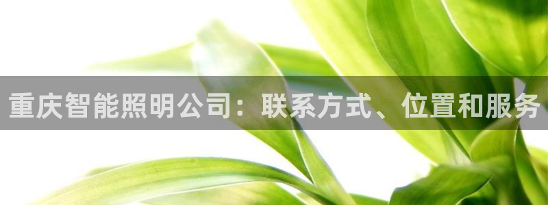 云顶国际服什么时候更新s9.5