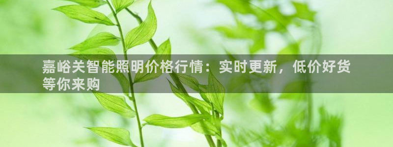 中国云顶控股集团