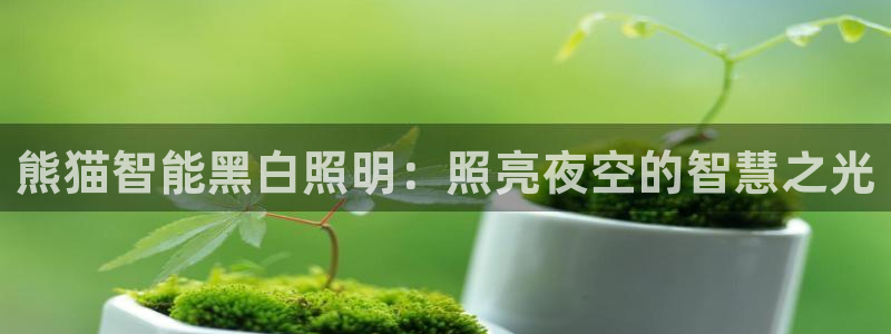 云顶国际集团io