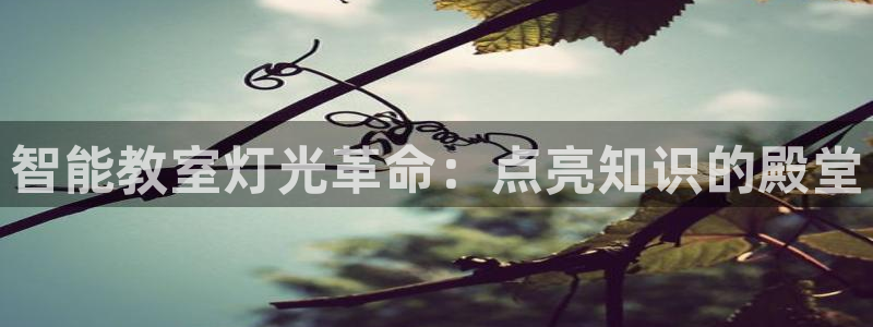 云顶国际前台电话是多少
