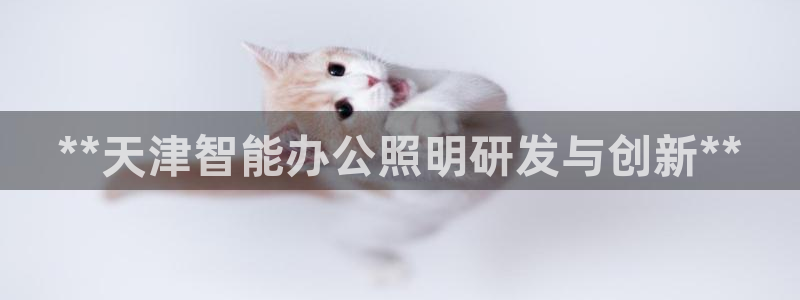 云顶国际游戏网址是什么