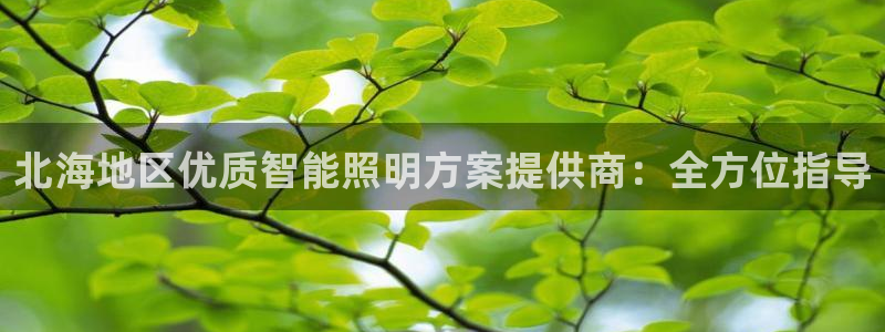 云顶国际服加速器