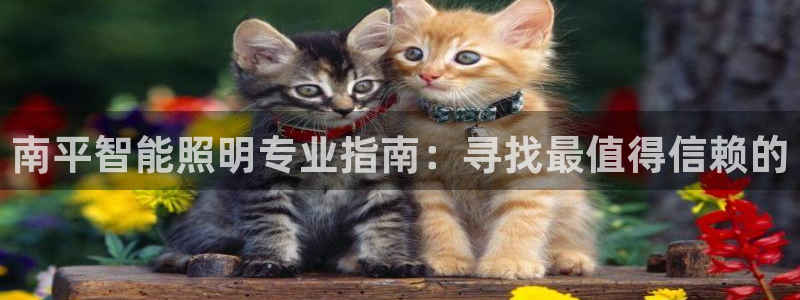 云顶国际app免费下载安装