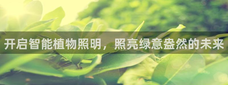 云顶国际软装公司怎么样