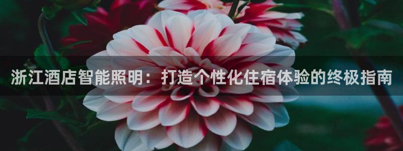 云顶国际官方网站下载手游