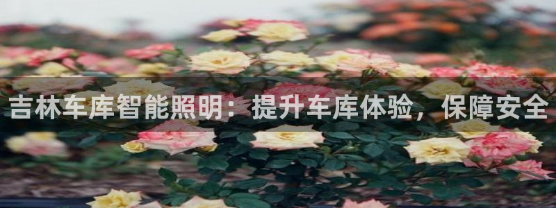 云顶国际服s9什么时候更新的