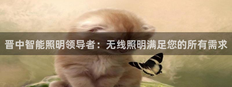 云顶国际老板是谁呀