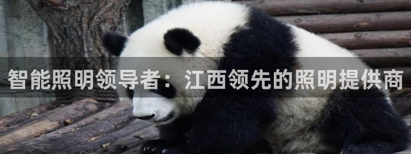 2418云顶