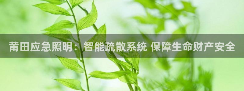 云顶集团中国公司
