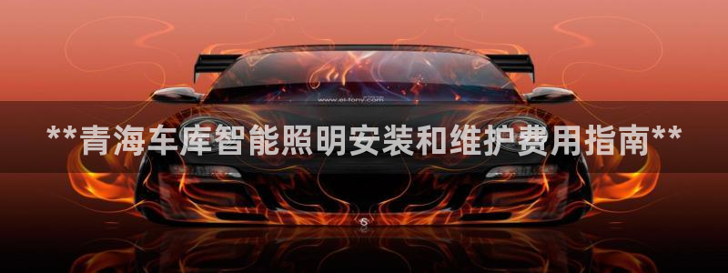 云顶国际在线登录官网：**青海车库智能照