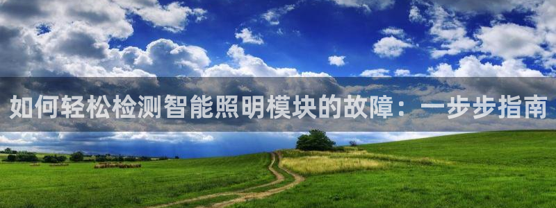 云顶集团公司 英文：如何轻松检测智能照明
