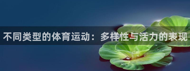 3377体育在线