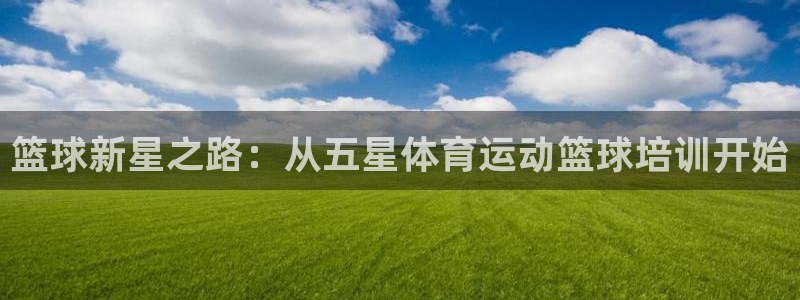 3377体育网页登录入口