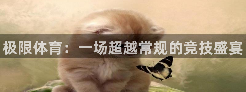 3377体育官网入口网页版