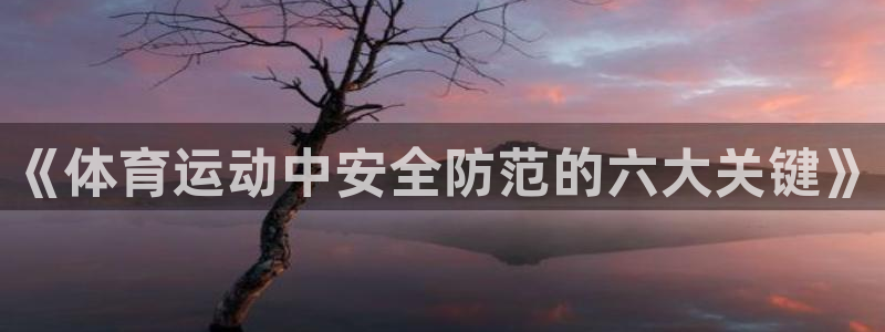 3377体育网页登录入口