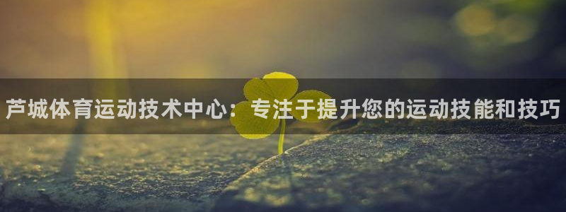 3377体育网页登录入口