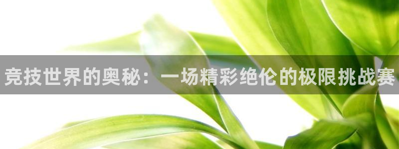 3377体育官网入口下载最新