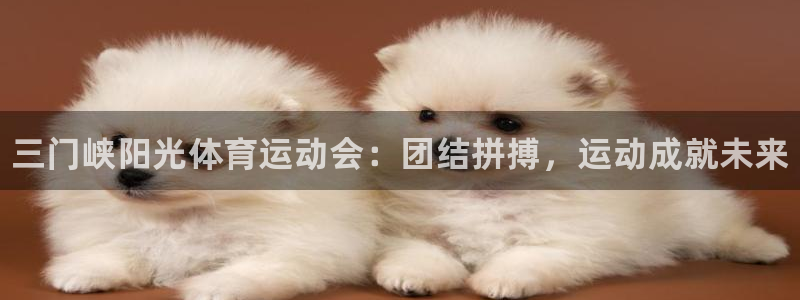 3377体育是正规平台吗