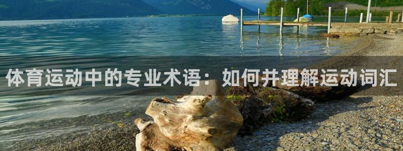 3377体育app下载安装