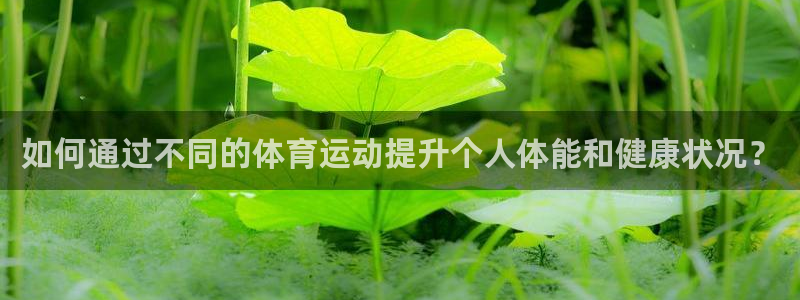 3377体育是正规的吗