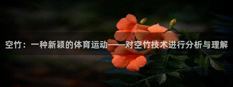 3377体育平台